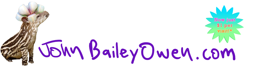 John Bailey Owen